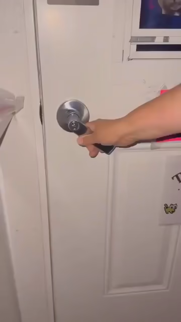 Video of someone opening the door to a large cat play center. There are close to 100 kitties all across the room, staring back with their reflective eye balls. The contents of the room are pretty neat, too: scratching posts, cat beds, exercise wheels, wall climbers, etc.