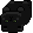 :spinning_black_cat_cw_ud: