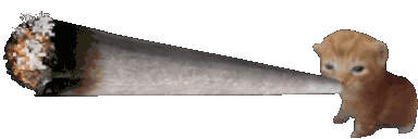 :cat_smoke: :cat_smoke: