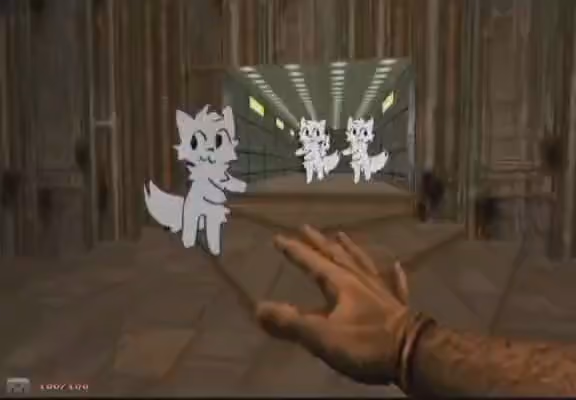 It's Doom, but instead of shooting monsters the player pets and kisses white anthro cats (from the boykisser meme).