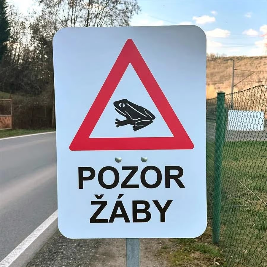 zaby