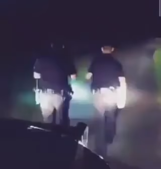 Video of two cops walking towards the forest at night while using flashlights, only to scrabble away in fear when some distance spooky screaming scares the mess out of them. What's the 10-4 code for NOPE?